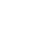 Audi Logo
